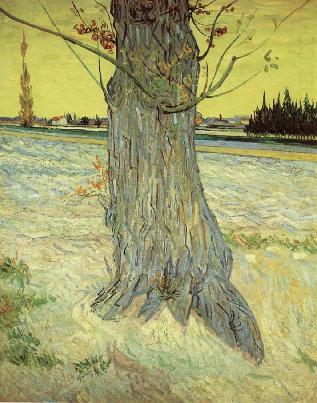 The Old yew tree, Vincent Van Gogh